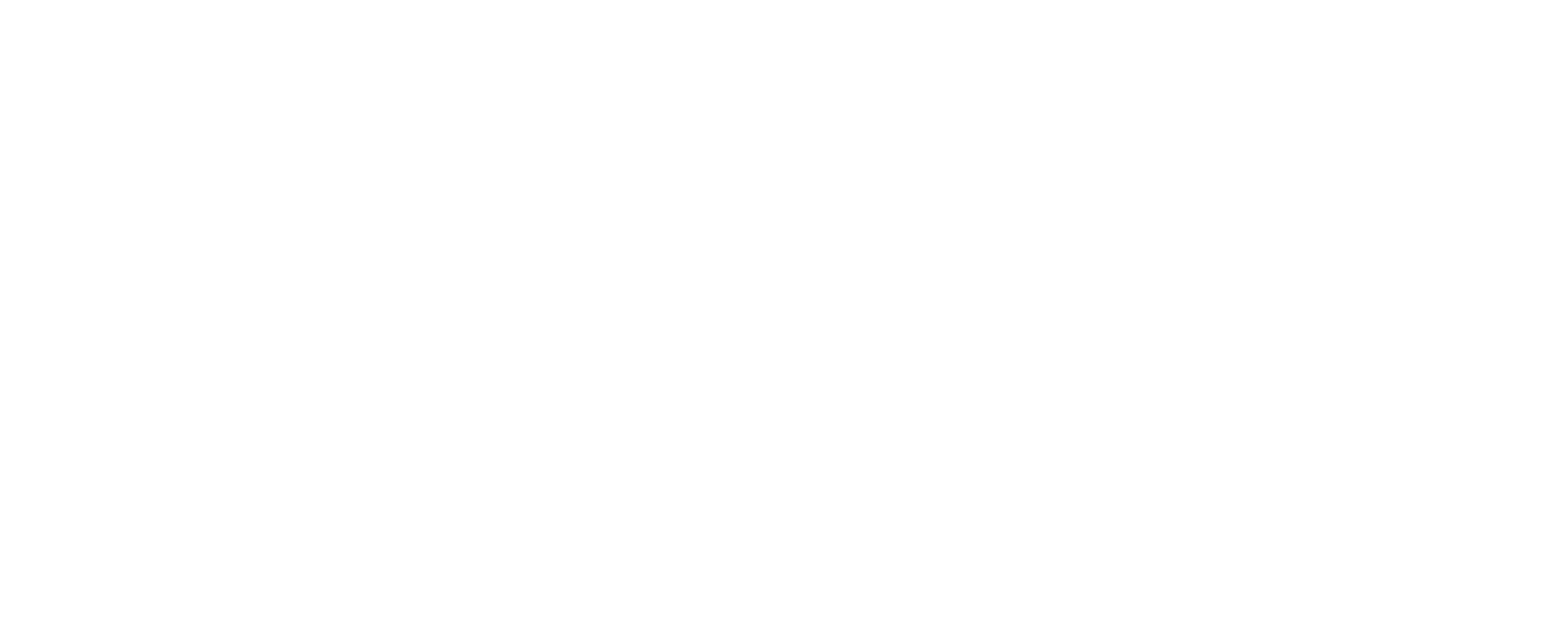 Taste Frankfurt